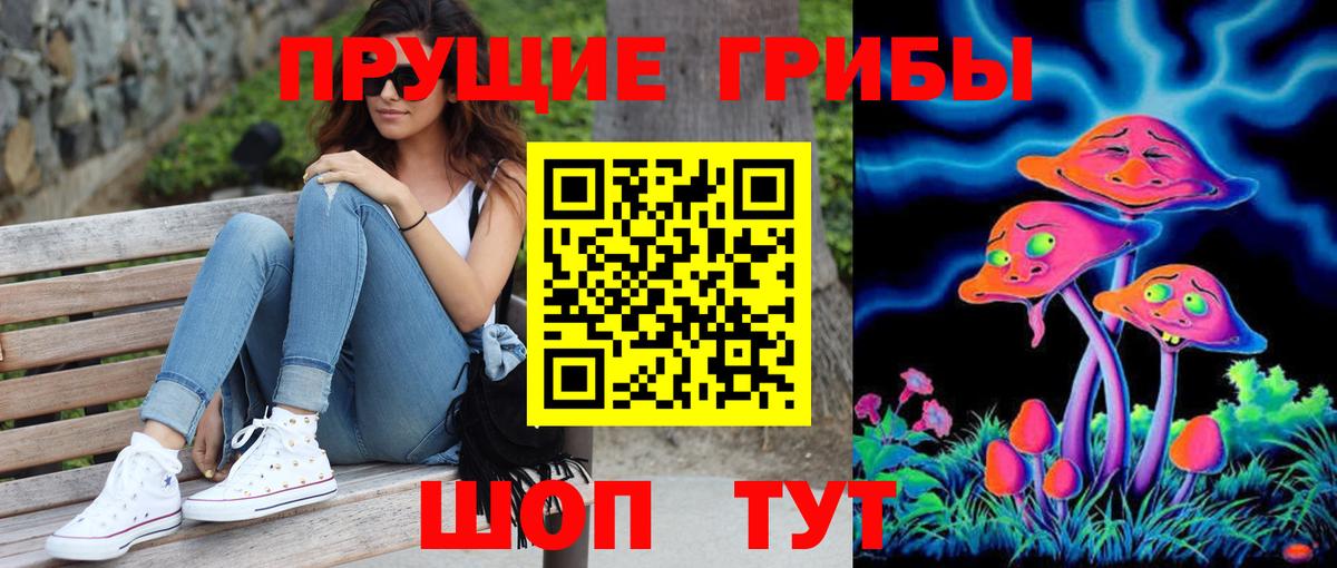 Галлюциногенные грибы Psilocybe Губкин