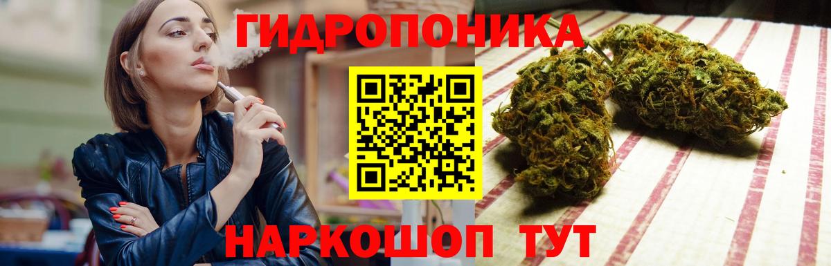 Шишки марихуана OG Kush Губкин